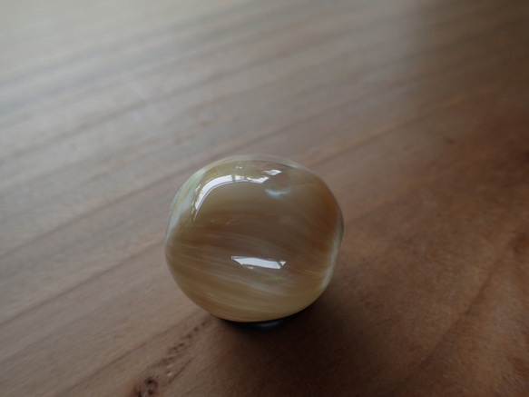 沖繩渦輪mar珠變形球形 第5張的照片