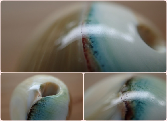 沖繩渦輪mar珠變形球形 第7張的照片
