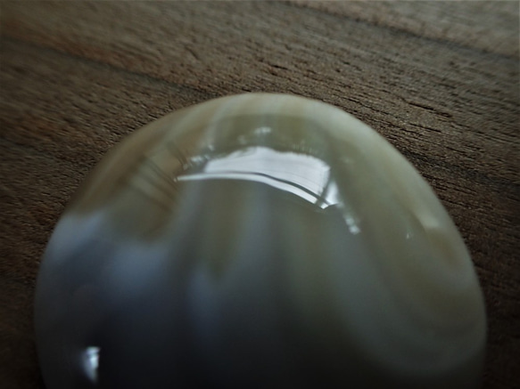 沖縄産夜光貝　穴なしパーツ　いびつな円形 4枚目の画像