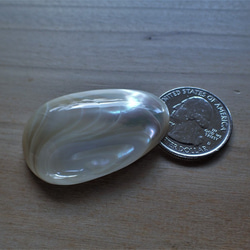 沖繩頭巾殼，無孔部分，水滴型，特厚 11.5 毫米 第1張的照片