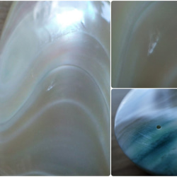 沖繩頭巾殼，無孔部分，水滴型，特厚 11.5 毫米 第6張的照片