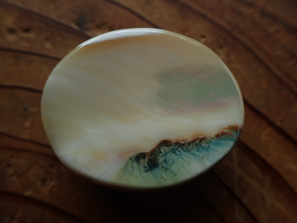 沖縄産夜光貝　穴なしパーツ　オーバル型8㎜厚 4枚目の画像