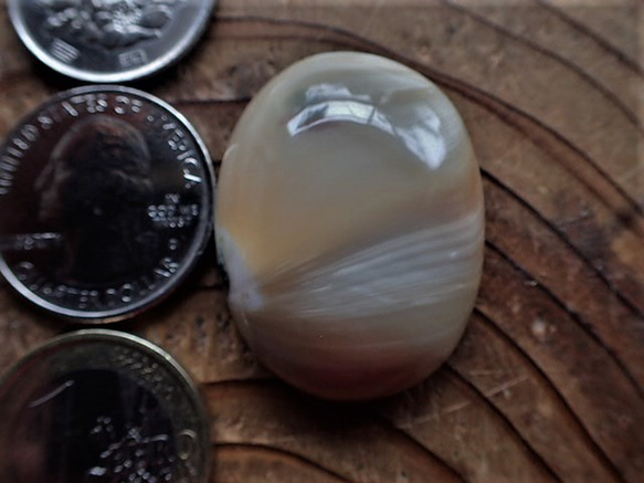沖縄産夜光貝　穴なしパーツ　オーバル型10㎜厚 1枚目の画像