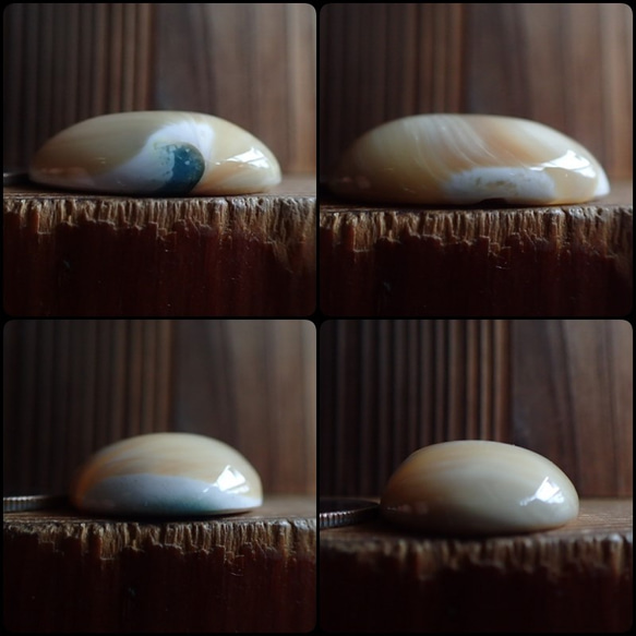 沖縄産夜光貝　穴なしパーツ　オーバル型10㎜厚 5枚目の画像