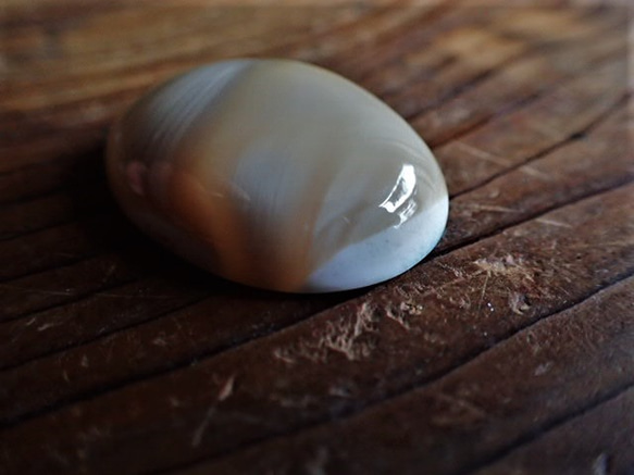 沖縄産夜光貝　穴なしパーツ　オーバル型10㎜厚 9枚目の画像