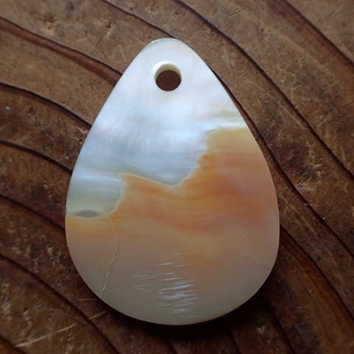 白蝶貝のトップ 白蝶貝のトップ 白蝶貝ボタン 13mm|貝ボタンの卸通販