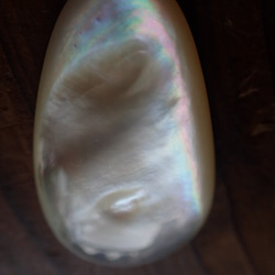 フィリピン産白蝶貝　穴なしパーツ変形滴型 10枚目の画像