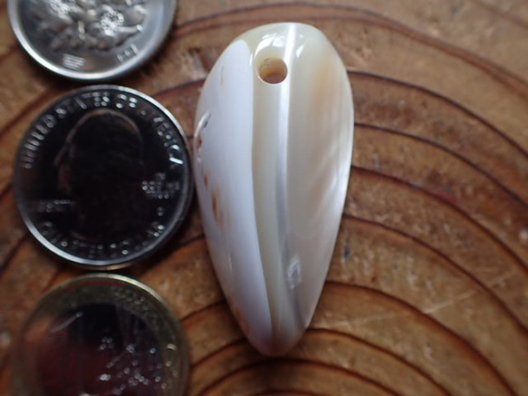 沖縄産高瀬貝　ペンダントトップ　立体牙型 2枚目の画像