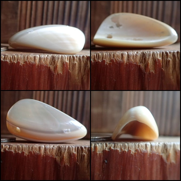 沖縄産高瀬貝　ペンダントトップ　立体牙型 5枚目の画像