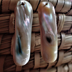 沖繩發光貝類對零件變形矩形 第1張的照片