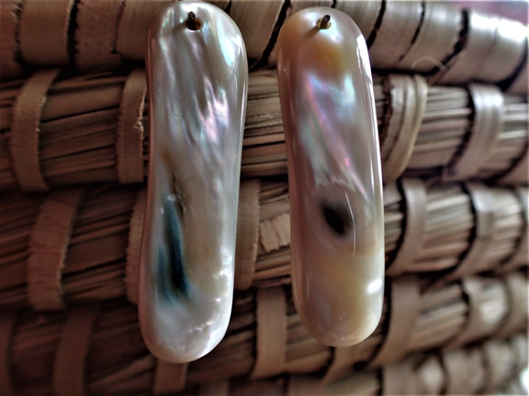 沖繩發光貝類對零件變形矩形 第1張的照片