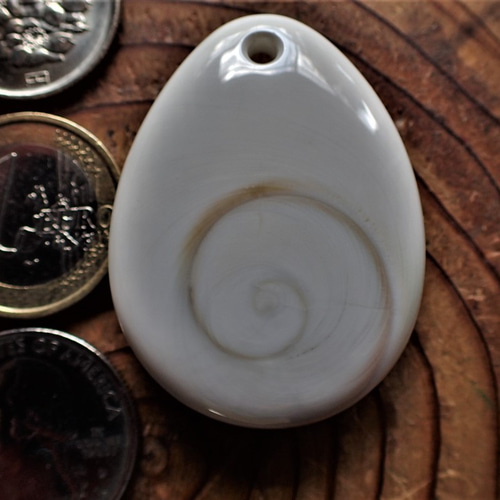 沖縄産夜光貝のフタ Shiva eye shell ペンダントトップ 滴型