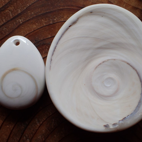 沖縄産夜光貝のフタ Shiva eye shell ペンダントトップ 滴型