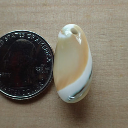 沖縄産夜光貝 ペンダントトップ　立体滴型 4枚目の画像