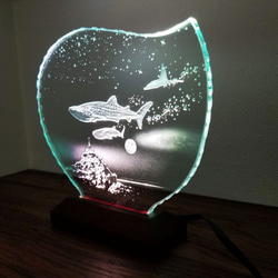 ジンベイザメ・マンタ・モンサンミッシェル　ガラスエッチングパネル・LEDスタンドセット（ランプ・ライト・照明） 6枚目の画像