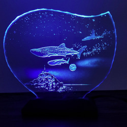 ジンベイザメ・マンタ・モンサンミッシェル　ガラスエッチングパネル・LEDスタンドセット（ランプ・ライト・照明） 8枚目の画像