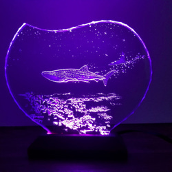 ジンベイザメ・マンタ・サントリーニ　ガラスエッチングパネル・LEDスタンドセット（ランプ・ライト・照明） 8枚目の画像