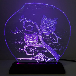 新月和兩隻貓頭鷹玻璃蝕刻板L尺寸/ LED支架套裝 第5張的照片