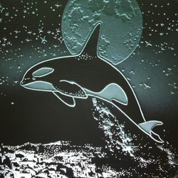繁星之夜，虎鯨玻璃蝕刻板M尺寸，LED支架套裝（逆戟鯨，燈，燈，燈，照明） 第2張的照片