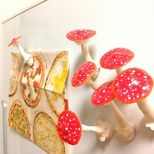 きのこの山 マグネット 4個入り 菌類の商品一覧 – ネイチャー