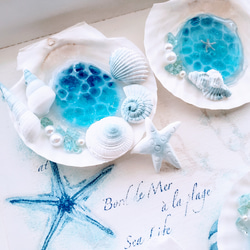 ☆幸せを呼ぶアクアマリン&パールのビーチ☆煌めく海塗り天然シェル皿