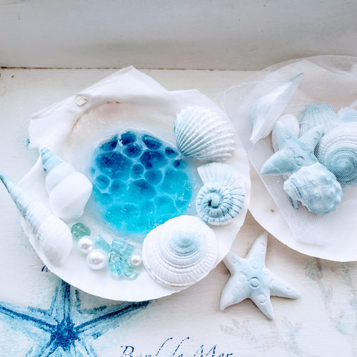 アロマストーンシェル&ハーバリウム海セット アロマストーンシェル&ハーバリウム海セット