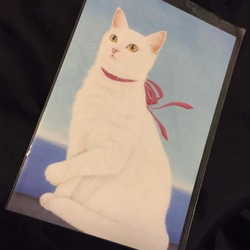 猫心ポストカード／お得なお任せ8枚セット／猫A 2枚目の画像