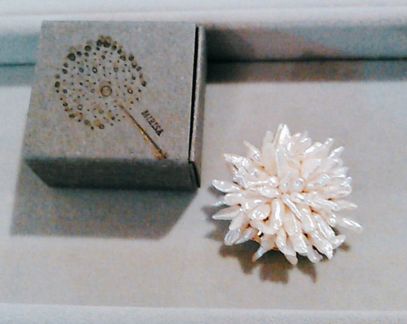白い小花のブローチ 1枚目の画像