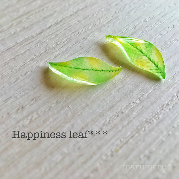 Happiness leaf＊* 1枚目の画像