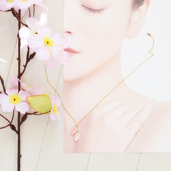 半額SALE【限定数のみ】花いかだ　桜の花びら　クイーンコンクシェル　サージカルステンレスネックレス40cm 7枚目の画像