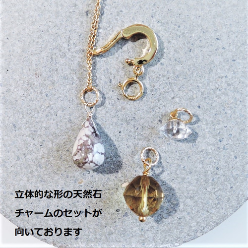 camel様ねじ式イヤリング8点＆付け替えチャーム❤️【お取り置き5/13まで❤️】 楽天市場】RinmaG1584 天然白蝶貝 14KGF チャーム ネックレス