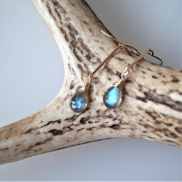 【耳環可換】藍色拉長石玫瑰切割梨形14KGF耳環 第3張的照片