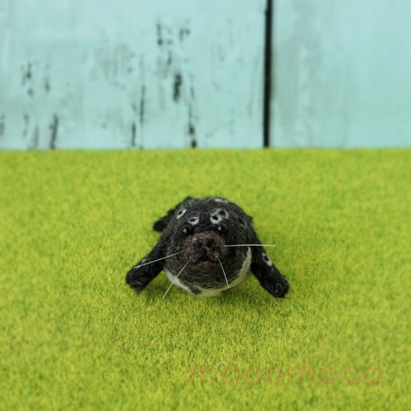 もこもこマスコット・U動物園シリーズ　ゼニガタアザラシのヘイジ　☆あかころ☆akatin☆ 2枚目の画像