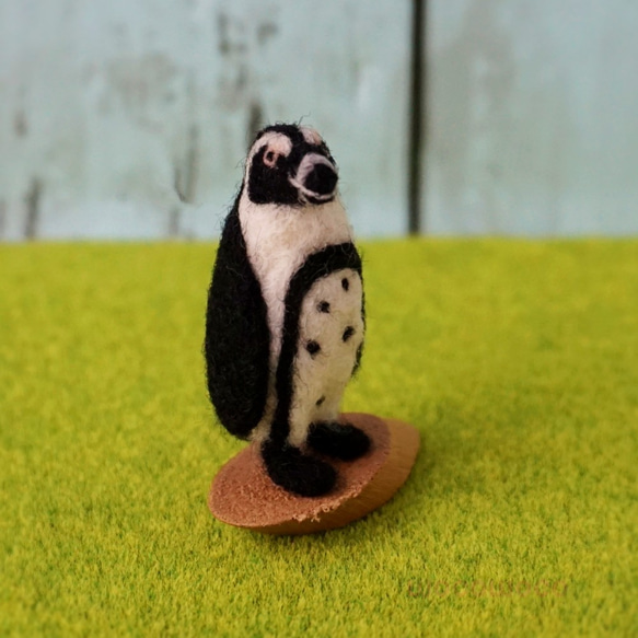 【受注制作作品】もこもこマスコット・U動物園シリーズ　ケープペンギンのカオ　☆羊毛フェルティング☆あかころ☆ 2枚目の画像