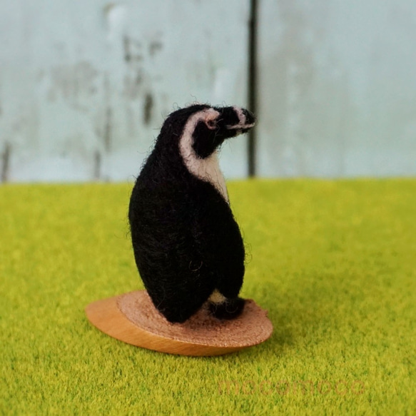 【受注制作作品】もこもこマスコット・U動物園シリーズ　ケープペンギンのカオ　☆羊毛フェルティング☆あかころ☆ 5枚目の画像