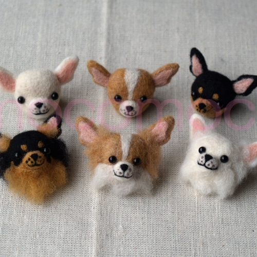 フェルティングバッチ・チワワ（スムース茶）☆あかころ☆羊毛フェルト