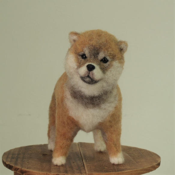 フェルティング彫刻・「すっく」（柴犬の子犬） 1枚目の画像