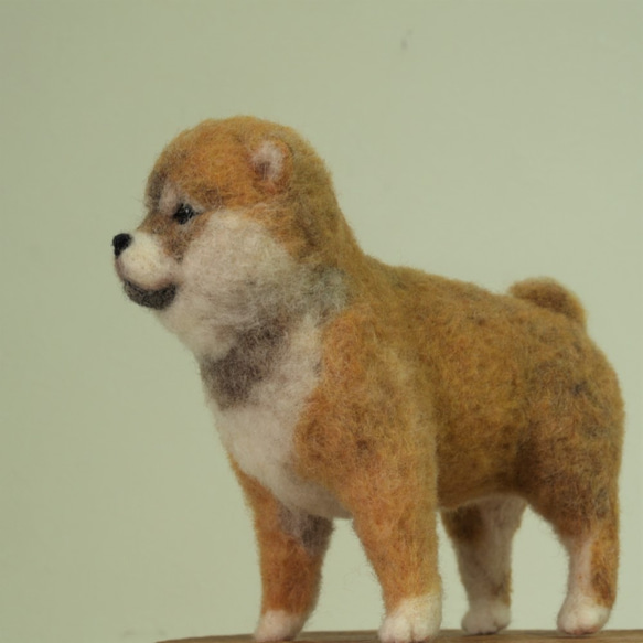 フェルティング彫刻・「すっく」（柴犬の子犬） 3枚目の画像