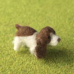 [定制] 毛茸茸的吉祥物英國史賓格犬魯尼 第3張的照片