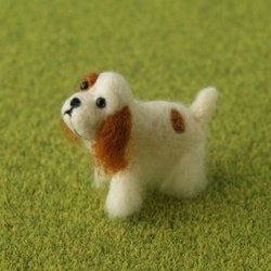 [定製作品] Fluffy 吉祥物美國可卡犬糖果 第3張的照片