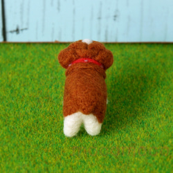 [定製作品]毛茸茸的吉祥物鬥牛犬醬☆Akakoro☆羊毛氈☆Akatin☆ 第4張的照片