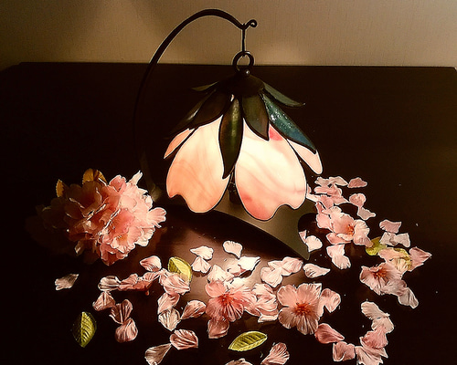 5_2ad1f2e9aaa7206503302e076868