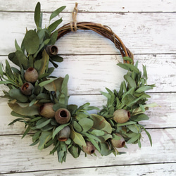 ブラウンcottonとベルガムナッツのスワッグ ブラウンcottonとベルガムナッツのスワッグ