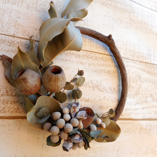 魔女の棲む森 素朴な木の実の オーナメント ユーカリ ベルガムナッツ 魔女の棲む森 素朴な木の実の オーナメント ユーカリ ベルガムナッツ