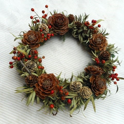 完売❤️早割❤️木の実達のXmasリース⭐️シダローズコットン22cm 完売❤️早割❤️木の実達のXmasリース⭐️シダローズコットン22cm