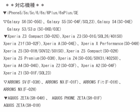  第3張的照片