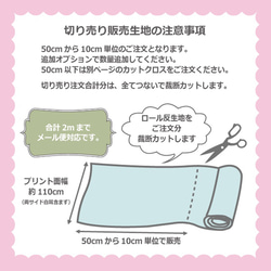 綿オックス生地 「ボーダー」オリジナルプリント50cm以上から切売　商用利用不可 7枚目の画像