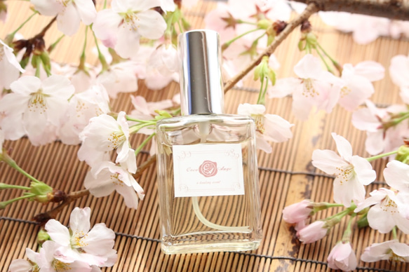 ギフトにもぴったりな春の香りの「花桜」ドレスパフューム＆星座のパフュームサンプルプレゼント 1枚目の画像