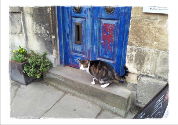 2015年カレンダー「猫のいる風景」 2枚目の画像