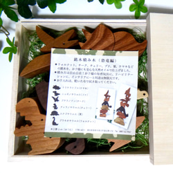 名貴木質積木☆恐龍版（桐木盒組） 第4張的照片